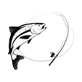 Wild Salmon
