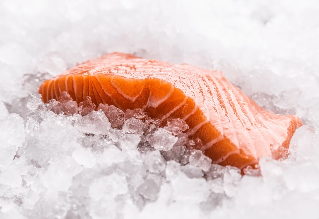 Fresh salmon on ice