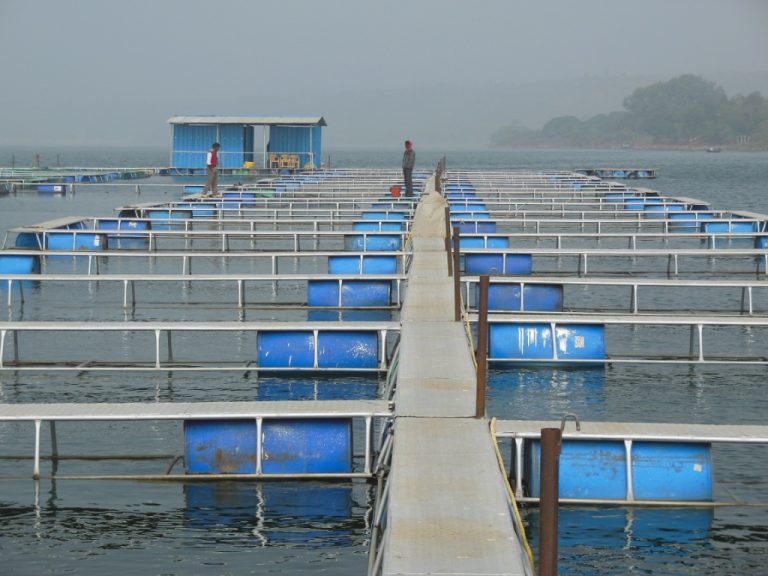 Where our seafood is farmed