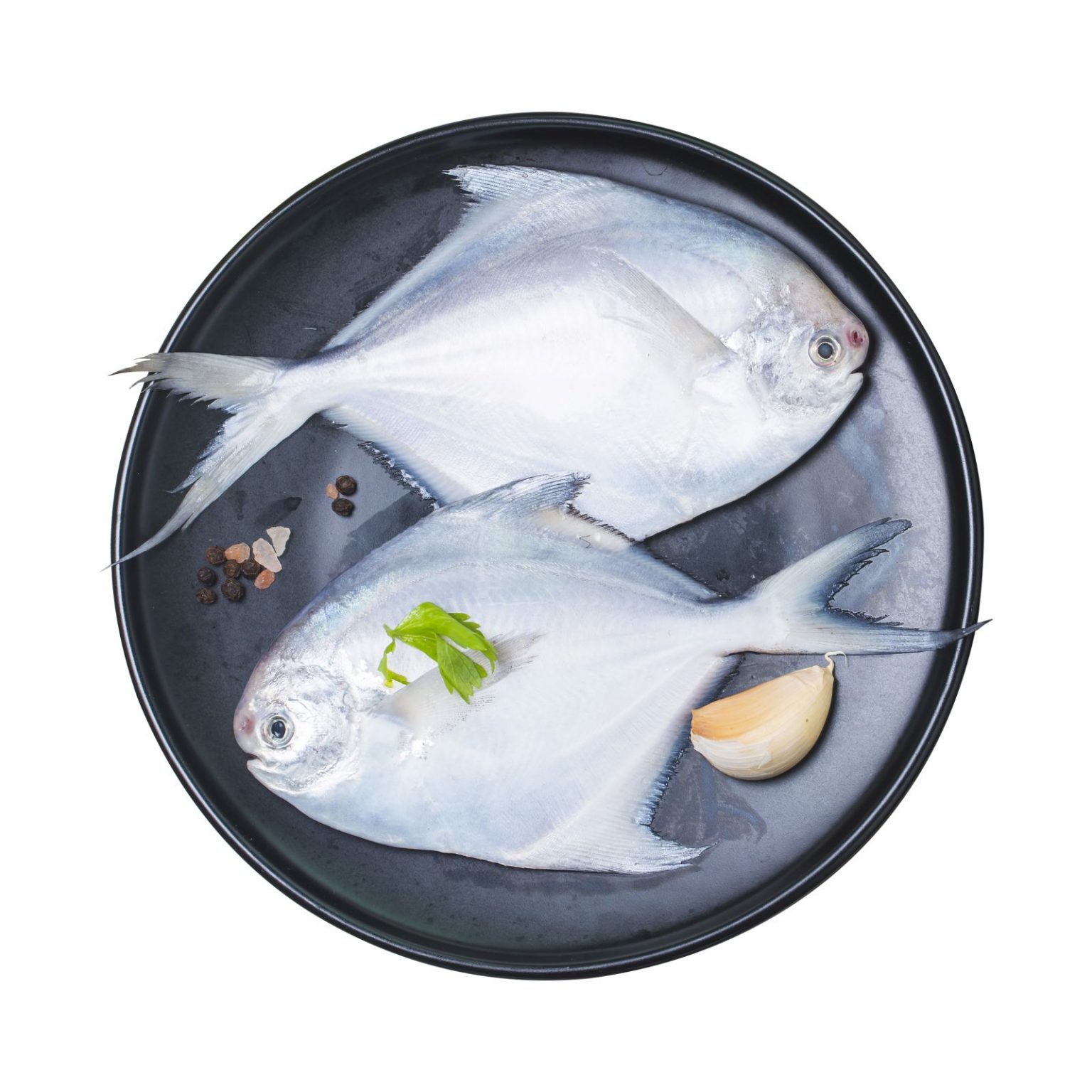Fresh Pomfret
