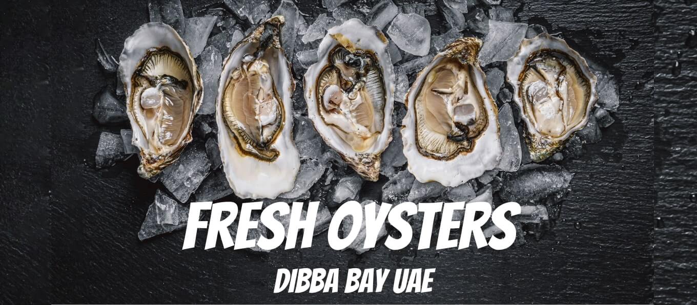 fresh_oysters_banner