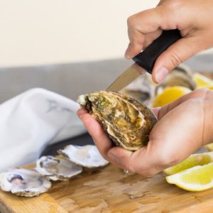 oyster shucker knife