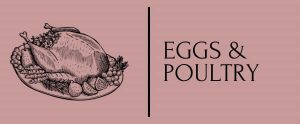 Egg & Poultry