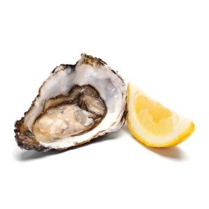 Frozen Half Shell Oysters