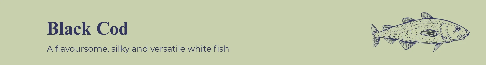 Black Cod: A flavoursome, silky and versatile white fish